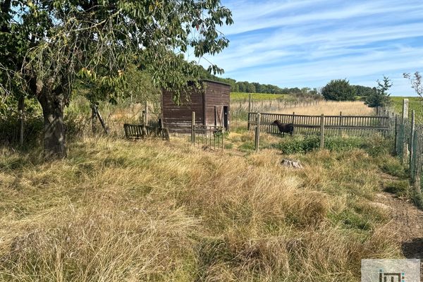 Huis te koop / Sint-Truiden