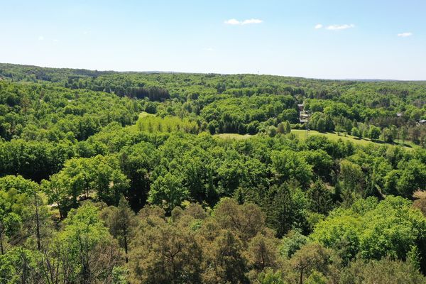 Grond
                                te koop
                                in Durbuy