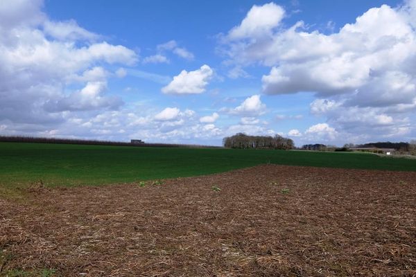 Landbouwgrond
                            verkocht in Sint-Truiden