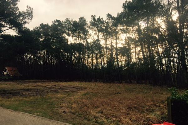 Bouwgrond
                            verkocht in Herselt