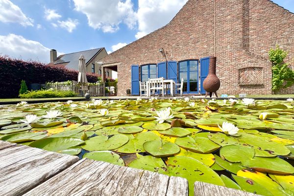 Huis
                            te koop in Waregem