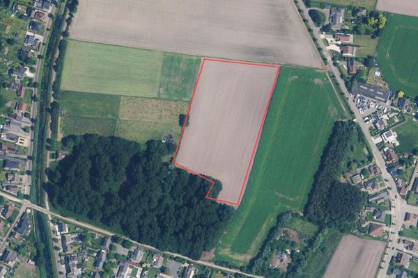 Landbouwgrond
                            optie koop in Wachtebeke