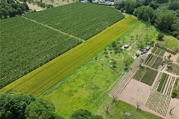 Landbouwgrond
                            te koop in Ordingen