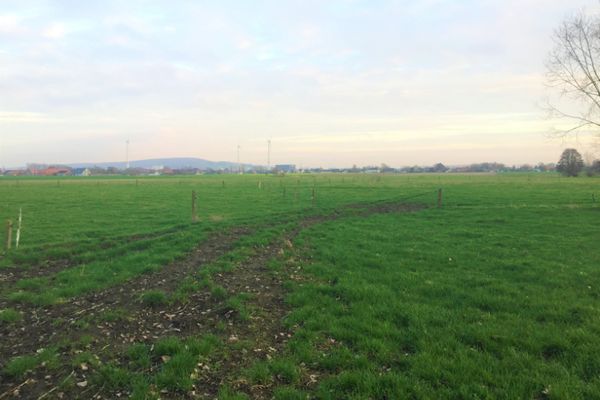 Grond
                            verkocht in Zwevegem