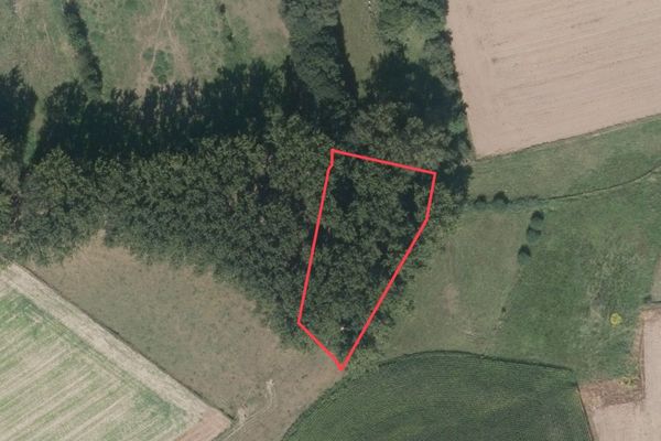 Bos
                            te koop in Sint-Pieters-Kapelle