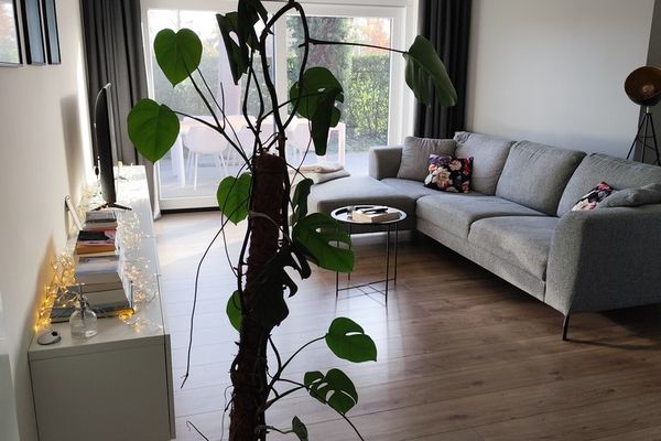 Appartement te huur / Hasselt