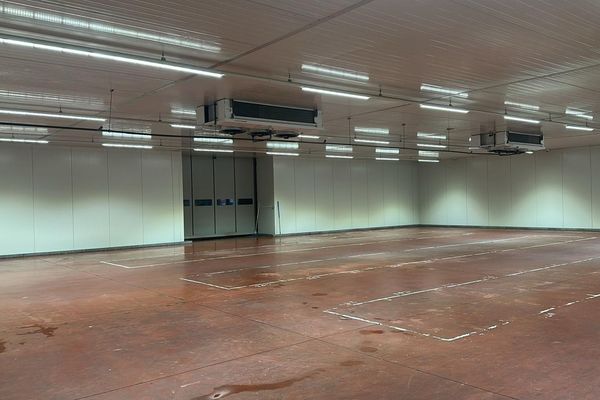 Industrieel te koop / Maasmechelen
