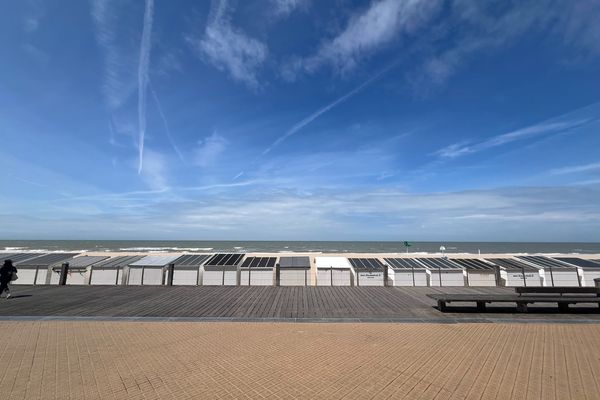 Appartement
                                te huur
                                in Oostende