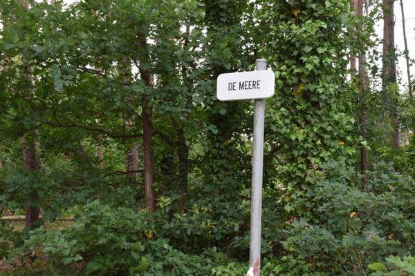 Grond
                                te koop
                                in Kasterlee