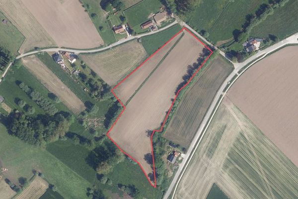 Landbouwgrond
                            te koop in Pepingen