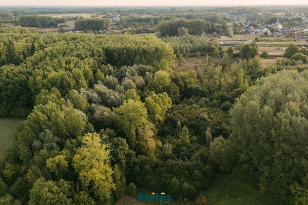 Ground
                                for sale
                                in Sint-Lievens-Houtem