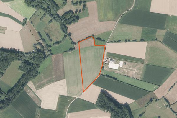 Landbouwgrond
                            te koop in Waarbeke