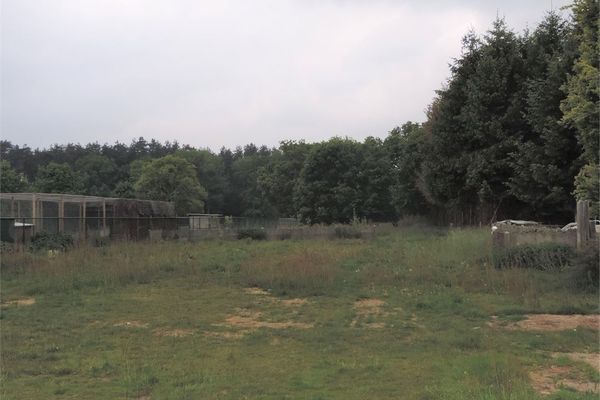 Huis verkocht / Beverlo