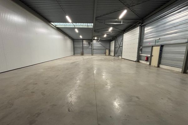 Industrieel te huur / Hasselt