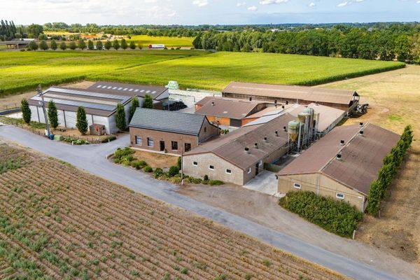 Boerderij
                            te koop in Wingene