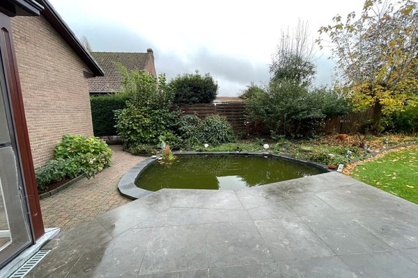 tuin