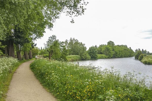 Commercieel te koop / Drongen