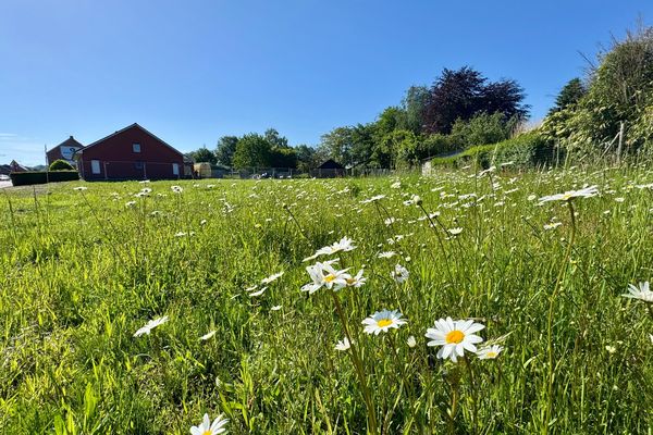 Bouwgrond
                            te koop in Beerse