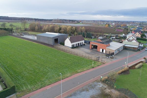 Handelspand
                            te koop in Nieuwerkerken