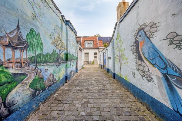 Huis optie koop / Berchem