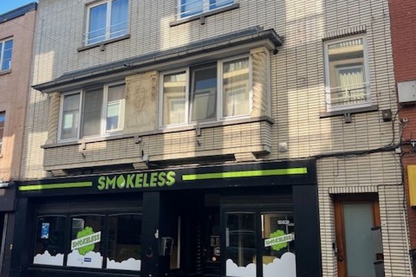 Opbrengsteigendom
                            te koop in Zottegem