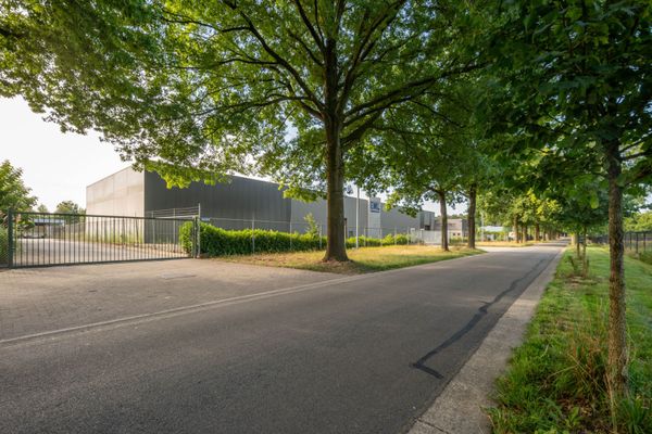 Estate main image
