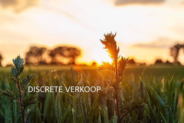 Hoeve
                            te koop in Bellem