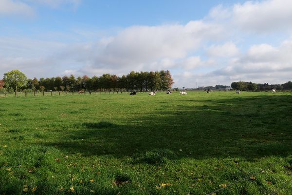 Grond
                            verkocht in Waregem