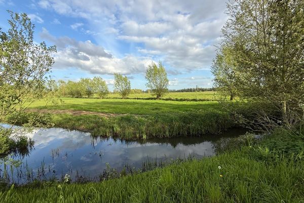 Bouwgrond te koop in Drongen