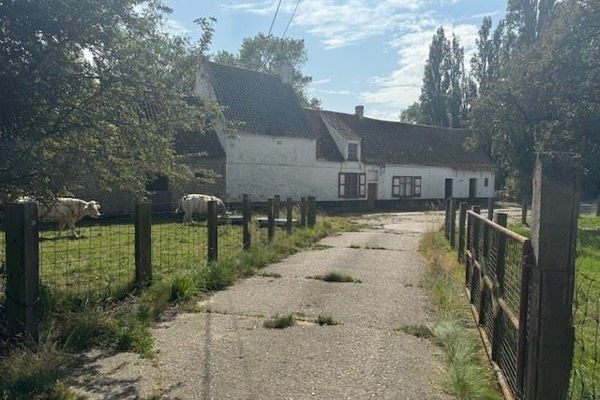 Huis
                                te koop
                                in Koolkerke