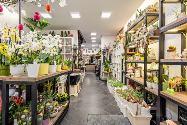 Commercieel te koop / Sint-Truiden