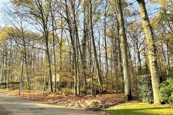 Bouwgrond
                                te koop in Linden