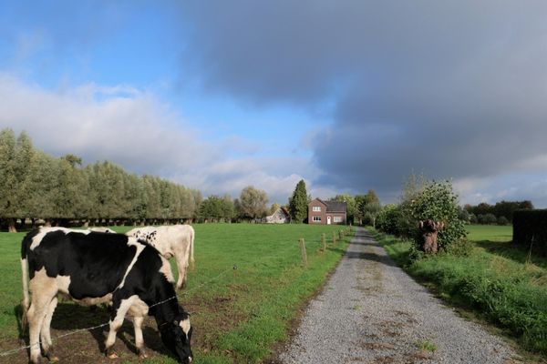 Huis
                            verkocht in Waregem