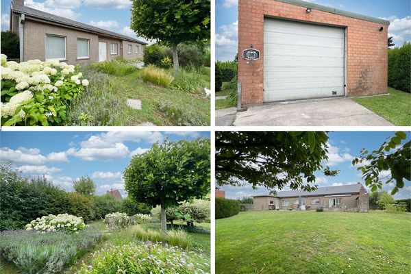 Huis
                                optie koop
                                in Aartrijke