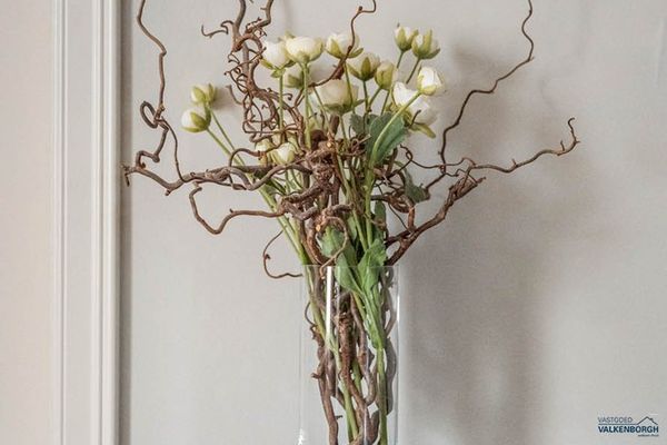 Huis te koop / Kinrooi