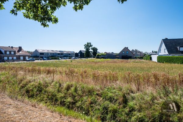 Grond te koop / Maldegem