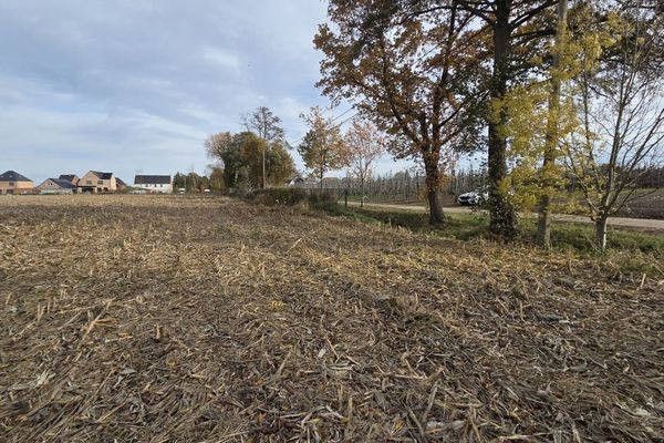 Grond te koop / Herk-de-Stad