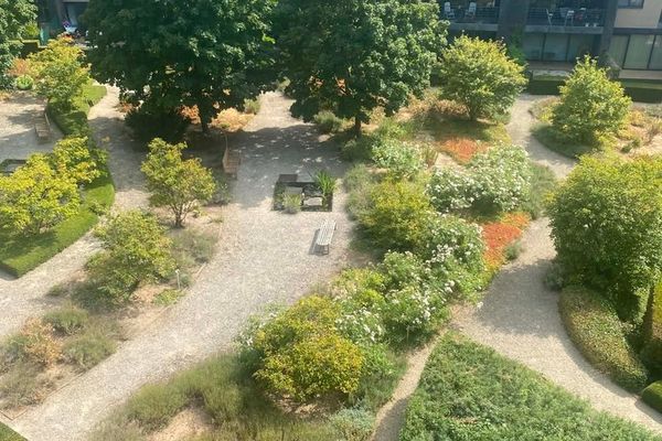 gemeenschappelijke tuin