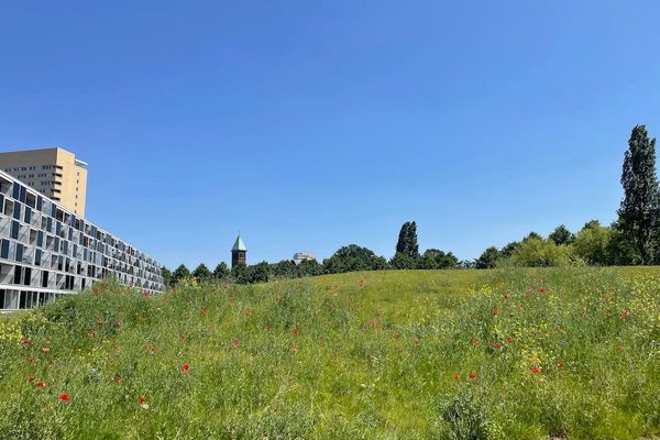Appartement te huur / Leuven