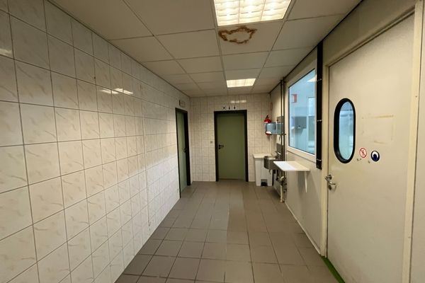 Industrieel te koop / Genk