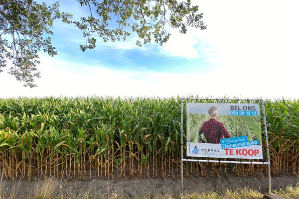 Grond
                                verkocht
                                in Hertsberge