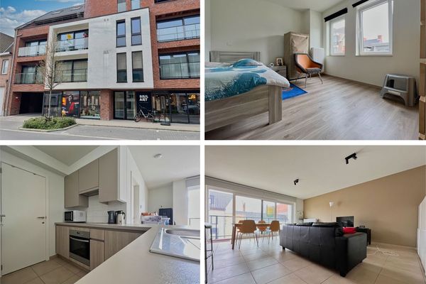 Appartement
                                verkocht
                                in Torhout