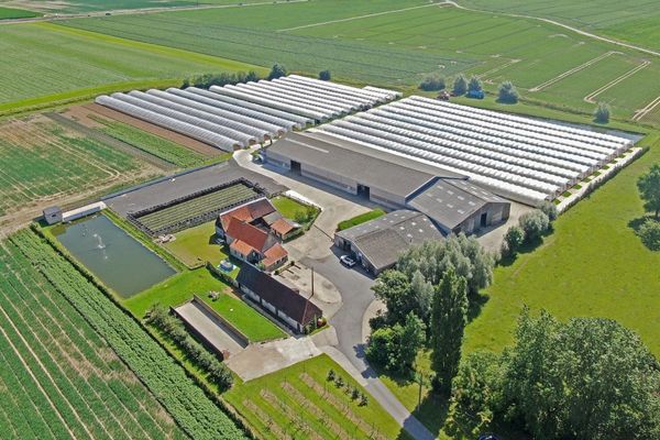 Boerderij
                            te koop in Veurne