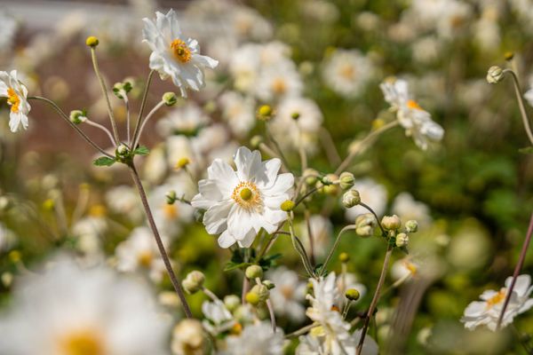 Appartement te koop / Tienen