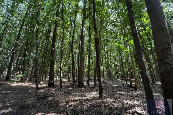 Grond te koop / Houthalen-Helchteren