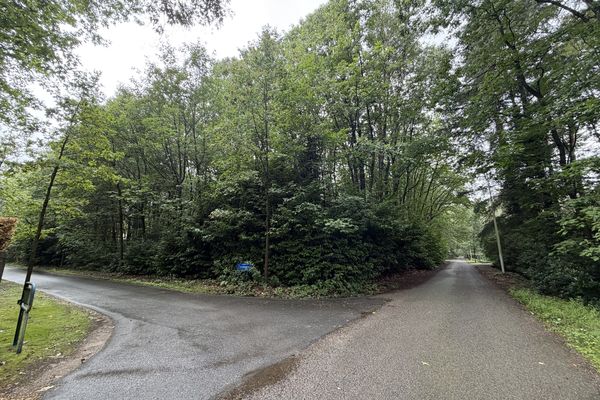 Grond te koop / Kapellen
