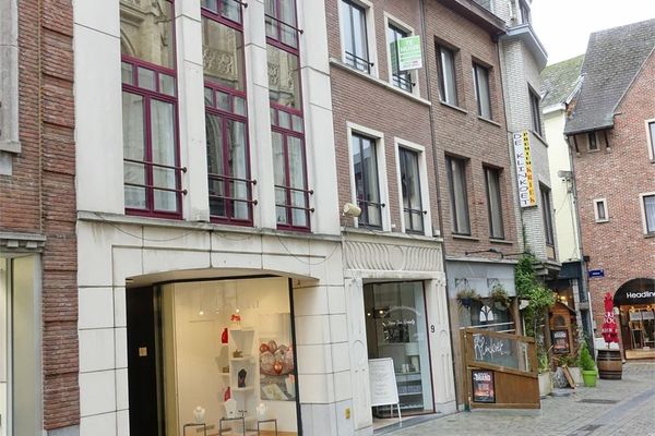 Appartement
                                te huur in Halle