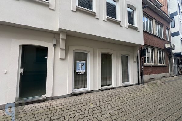 Appartement
                            te koop in Zottegem