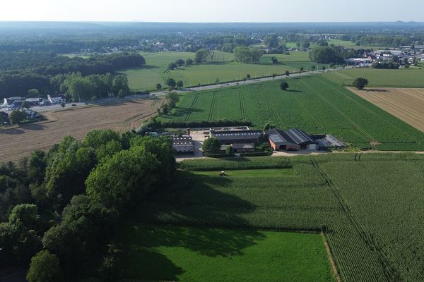 Estate main image