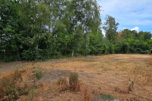 Grond
                                te koop
                                in Lummen
